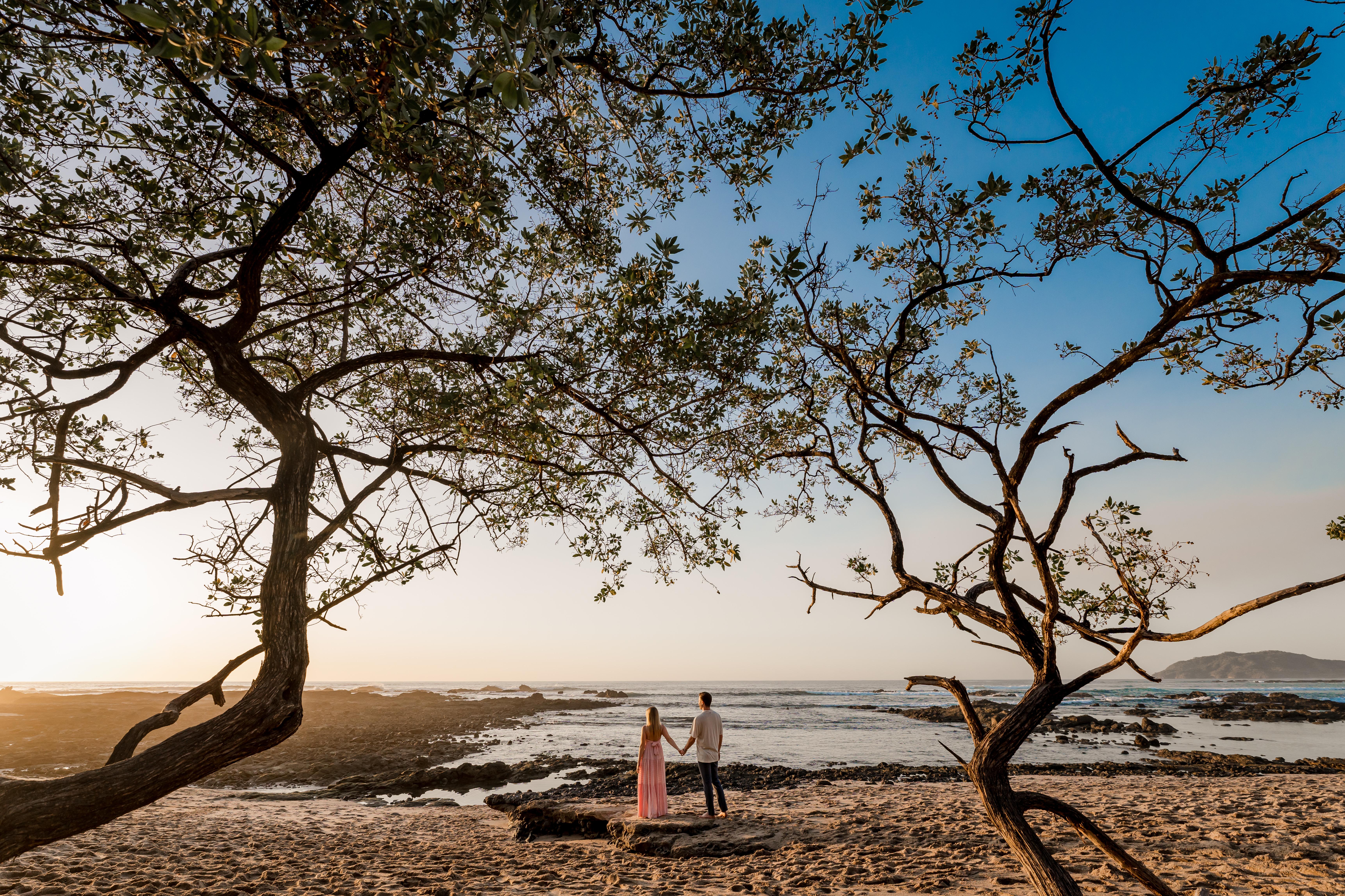 The Wedding Website of Grace Abbott and Andrew Daub