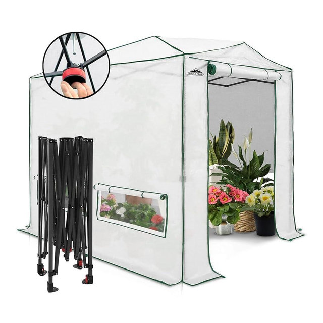 EAGLE PEAK Instant Pop-up Greenhouse, Indoor Outdoor Plant Gardening Green House, Roll-Up Zipper Doors and Side Windows, Heavy Duty Walk in 8x6 ft, Woven PE Top, White