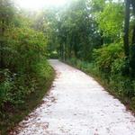 Ironwoods Park