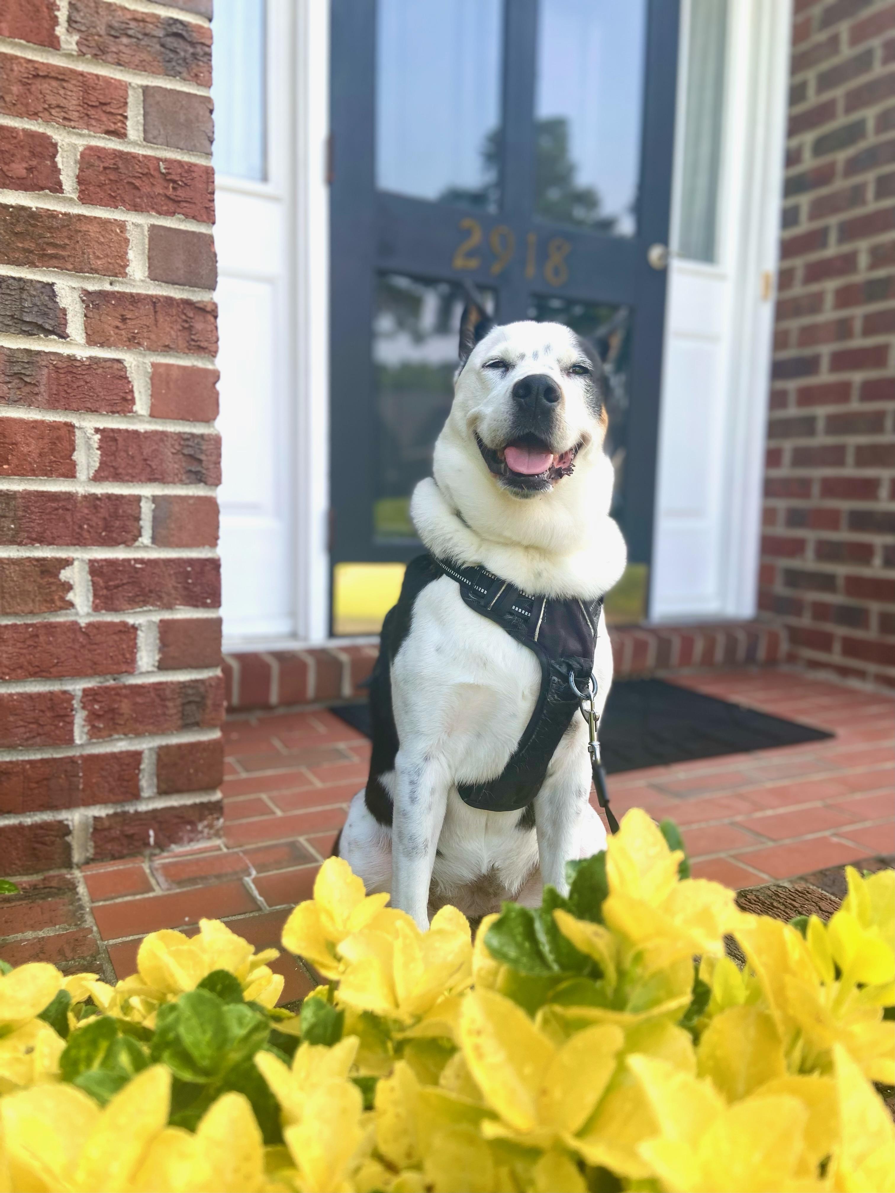 The Wedding Website of Catherine Kim and Zachary Reim