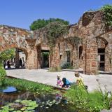 Lady Bird Johnson Wildflower Center