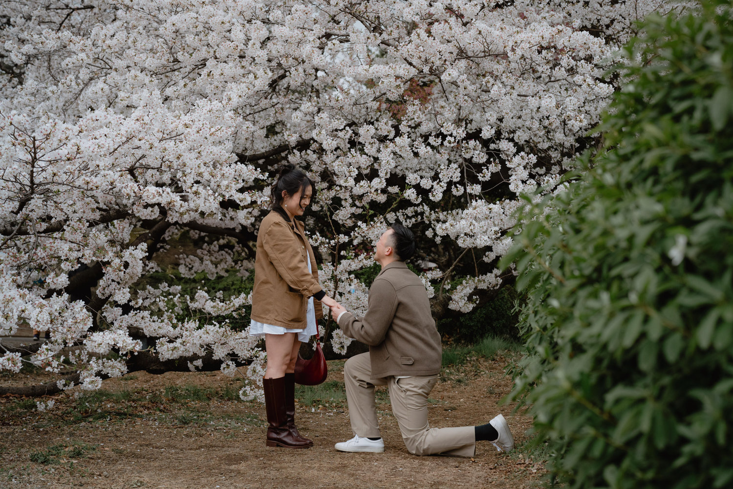 The Wedding Website of Christina Chong and Alan Lee