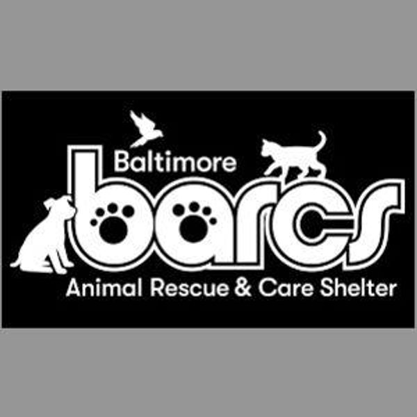 Baltimore Animal Rescue and Care Shelter