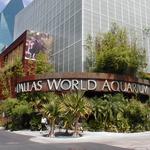 The Dallas World Aquarium