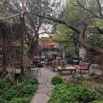 ChocolaTree Organic Eatery