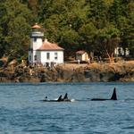 Lime Kiln Point State Park