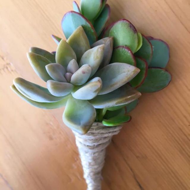 Groom's Boutonniere