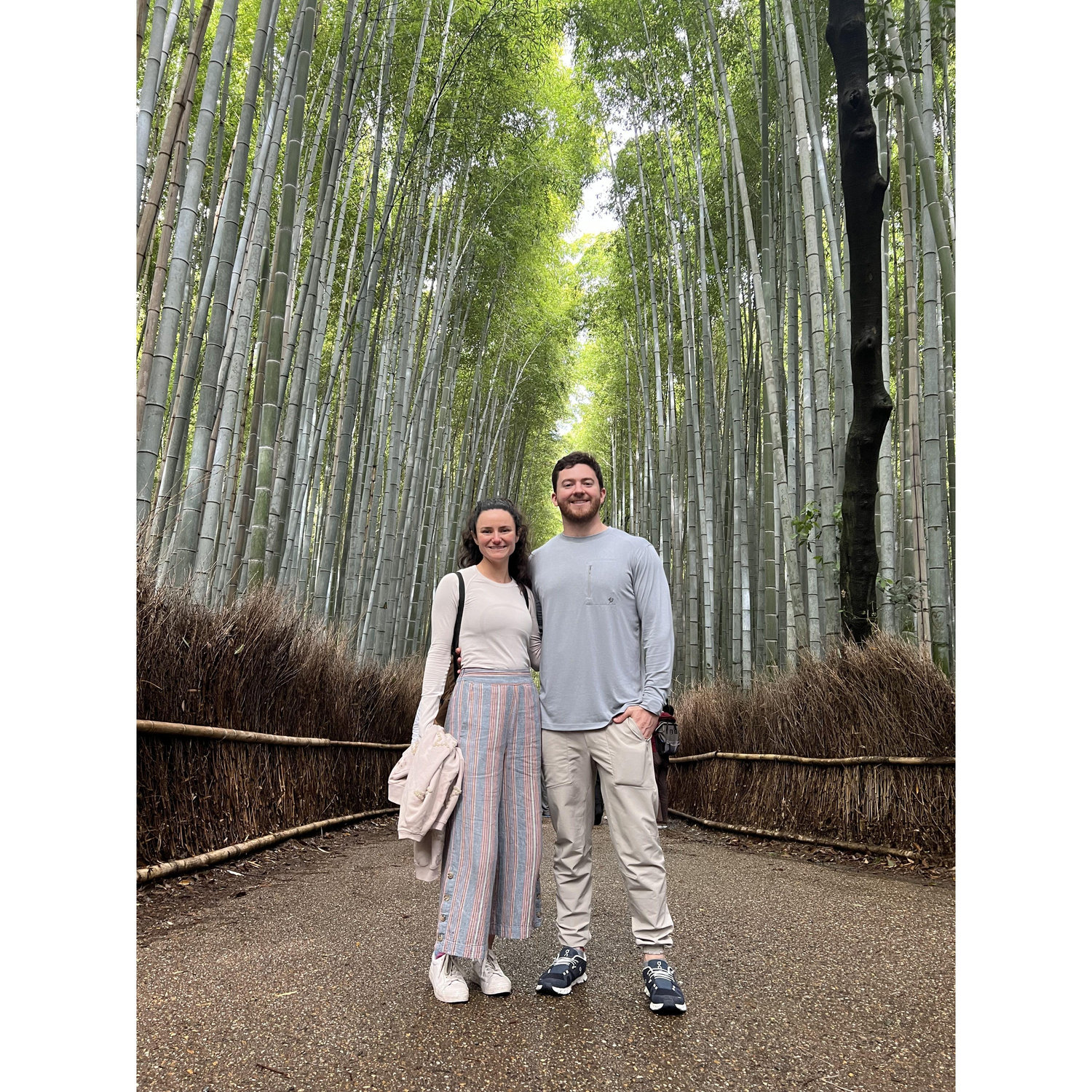 Japan - Bamboo forrest