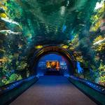 New York Aquarium