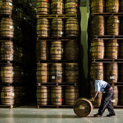 Rum Tasting