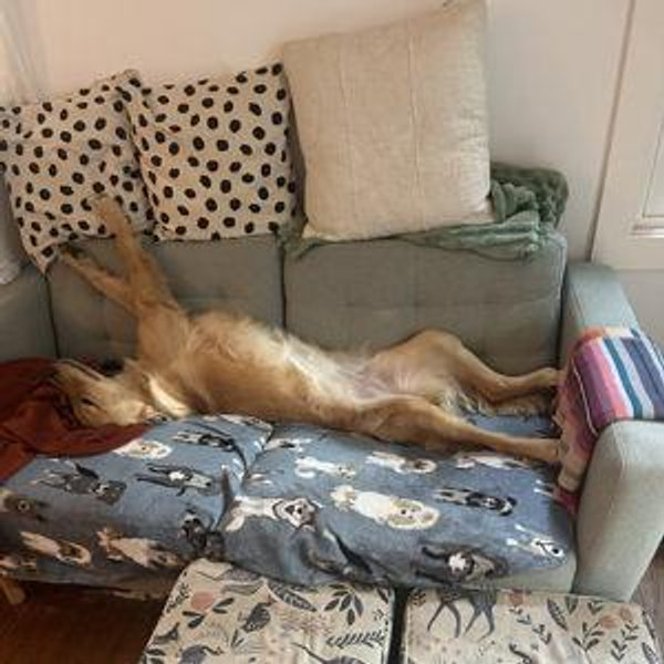 New Couch Fund!