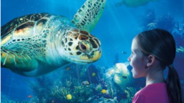 SEA LIFE Kansas City
