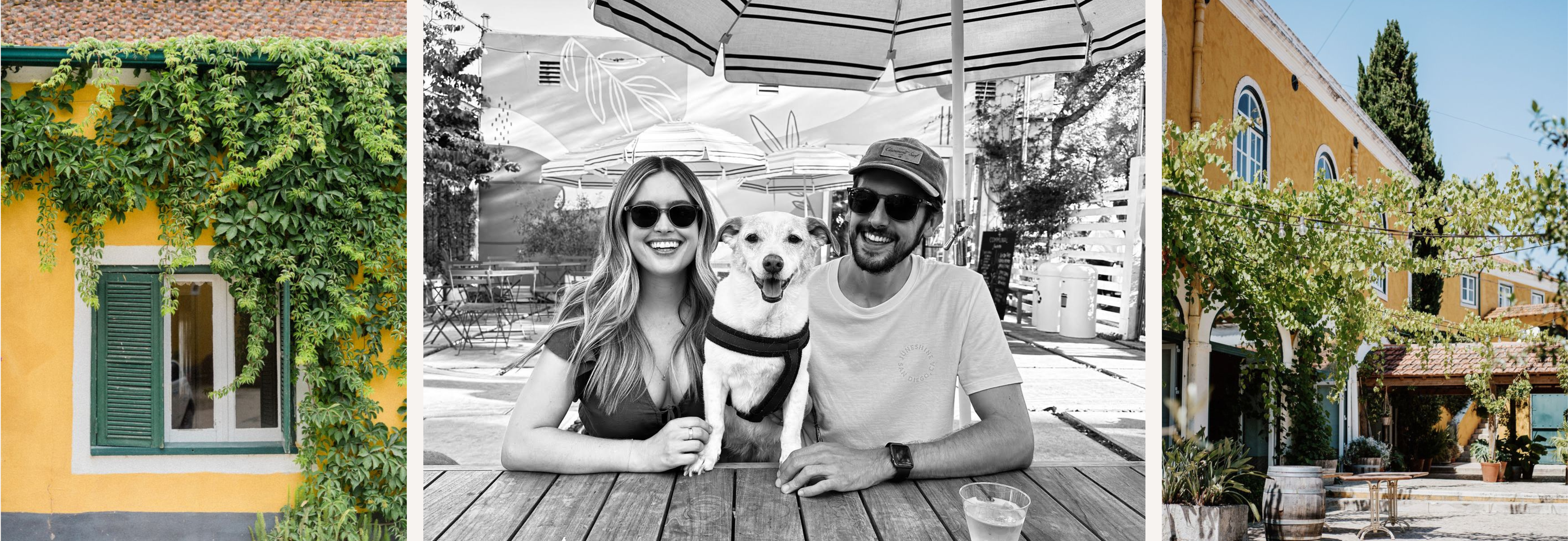 The Wedding Website of Alicia Finch and James Cresswell
