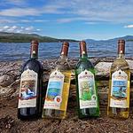 Adirondack Winery Lake George Tasting Room