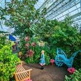 Sophia M. Sachs Butterfly House