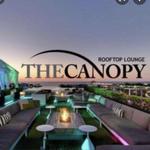 The Birchwood Canopy
