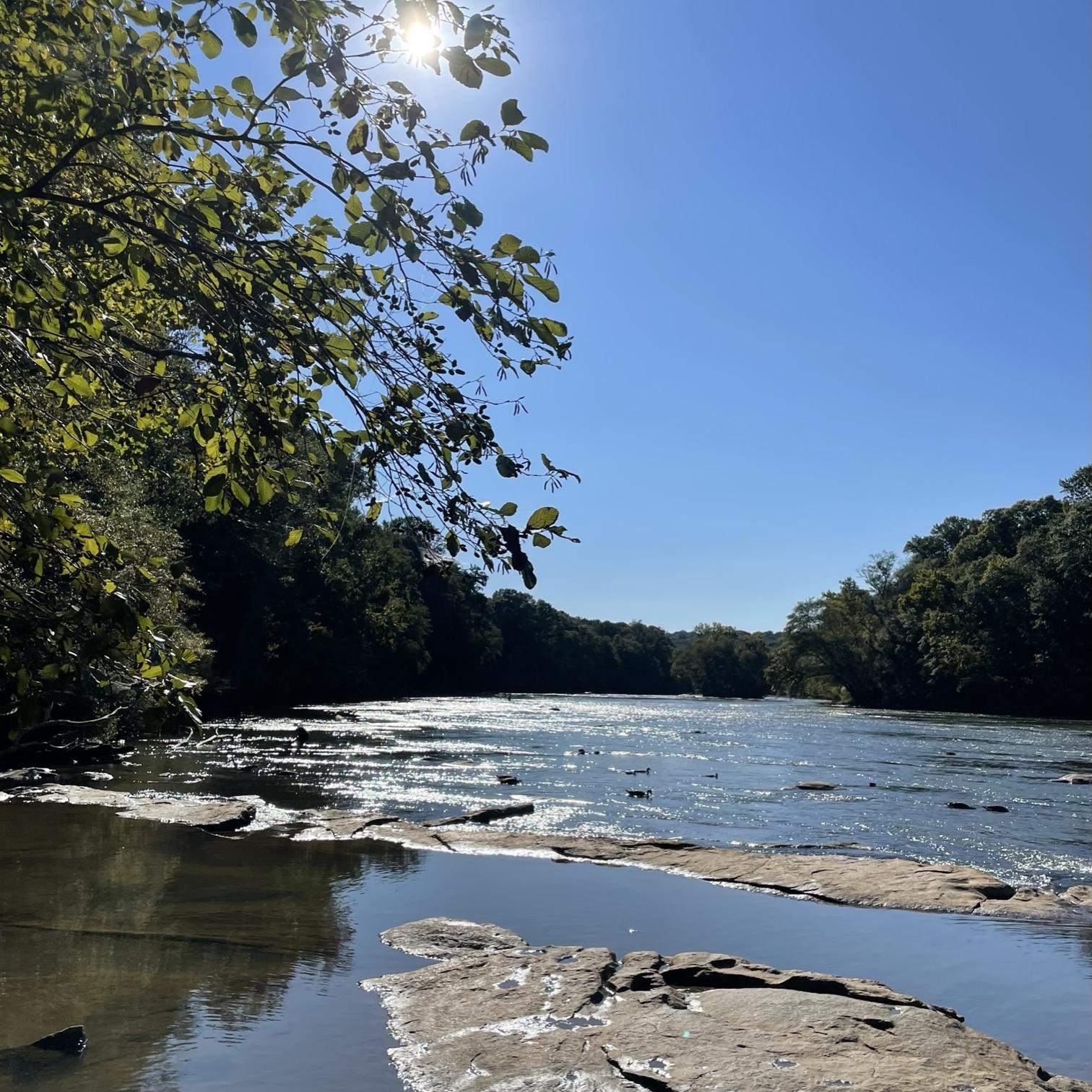 I snapped this pic at Jones Bridge Park. We came here for our first date as an official couple!
