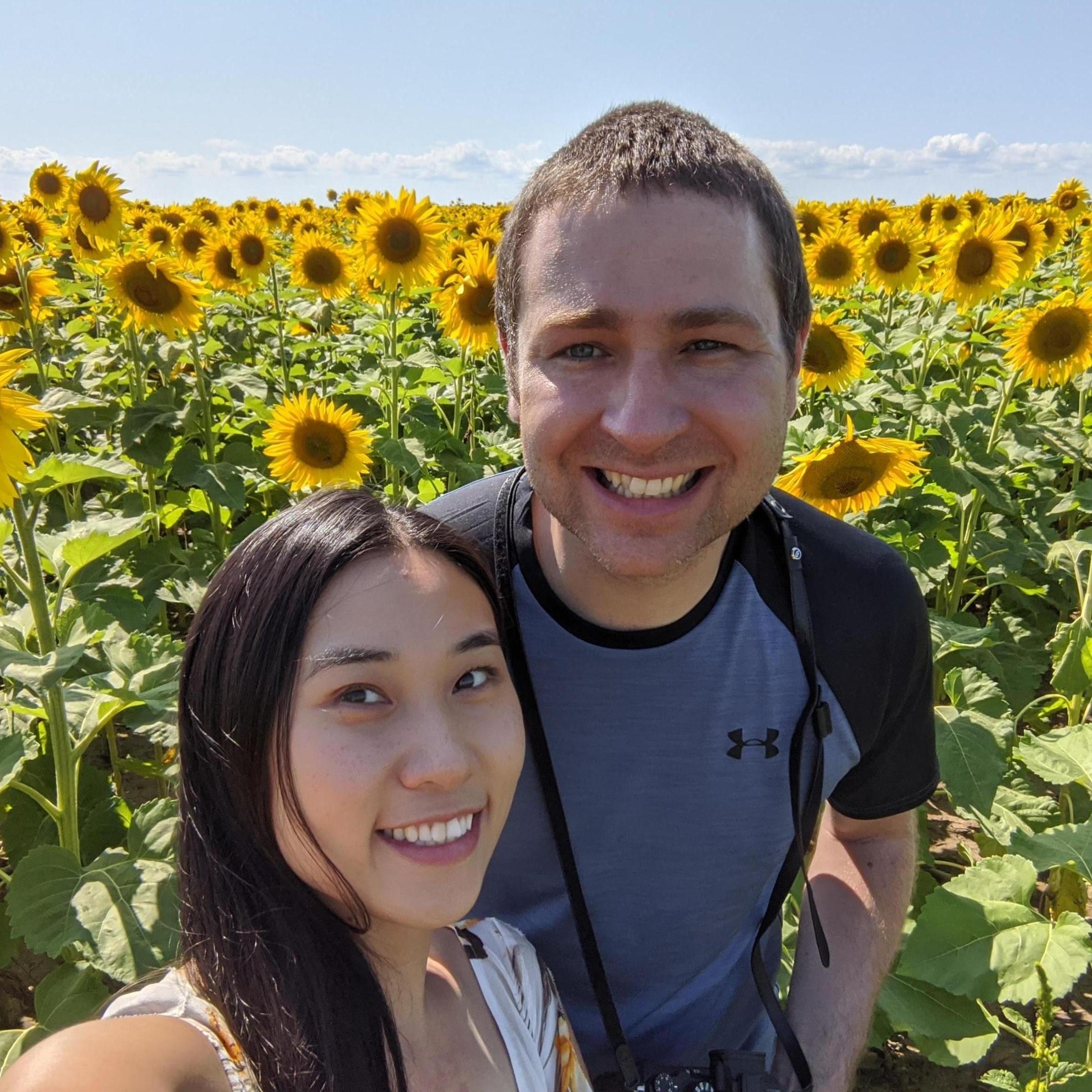 Sunflower Field