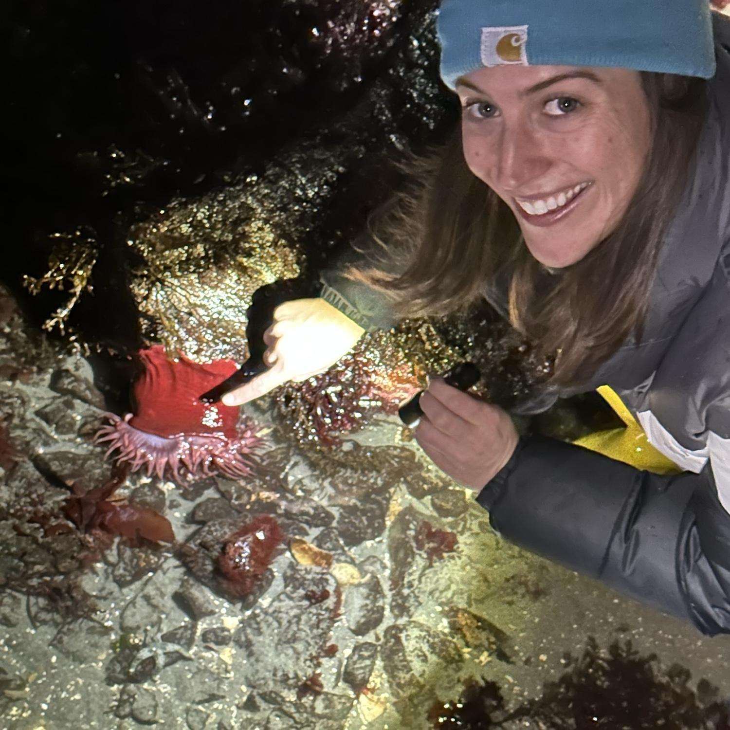Megan in tidepool heaven