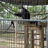 Luray Zoo - A Rescue Zoo