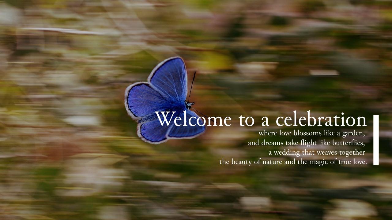 The Wedding Website of Tobias Bui and Ailin Liu