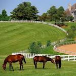 Visit Horse Country - Farm Tours