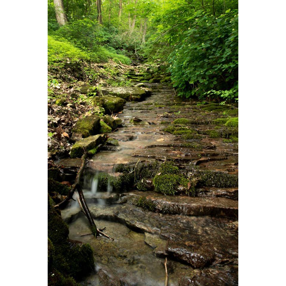 The Venue's namesake, Lavender Falls