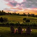 Crane Creek Vineyards