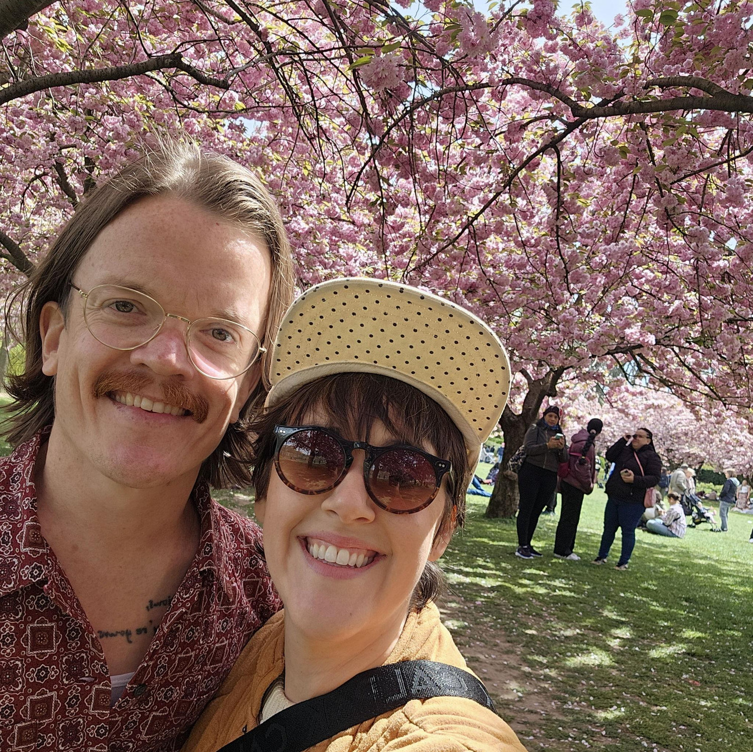'24 Cherry blossoms at Brooklyn Botanical Gardens