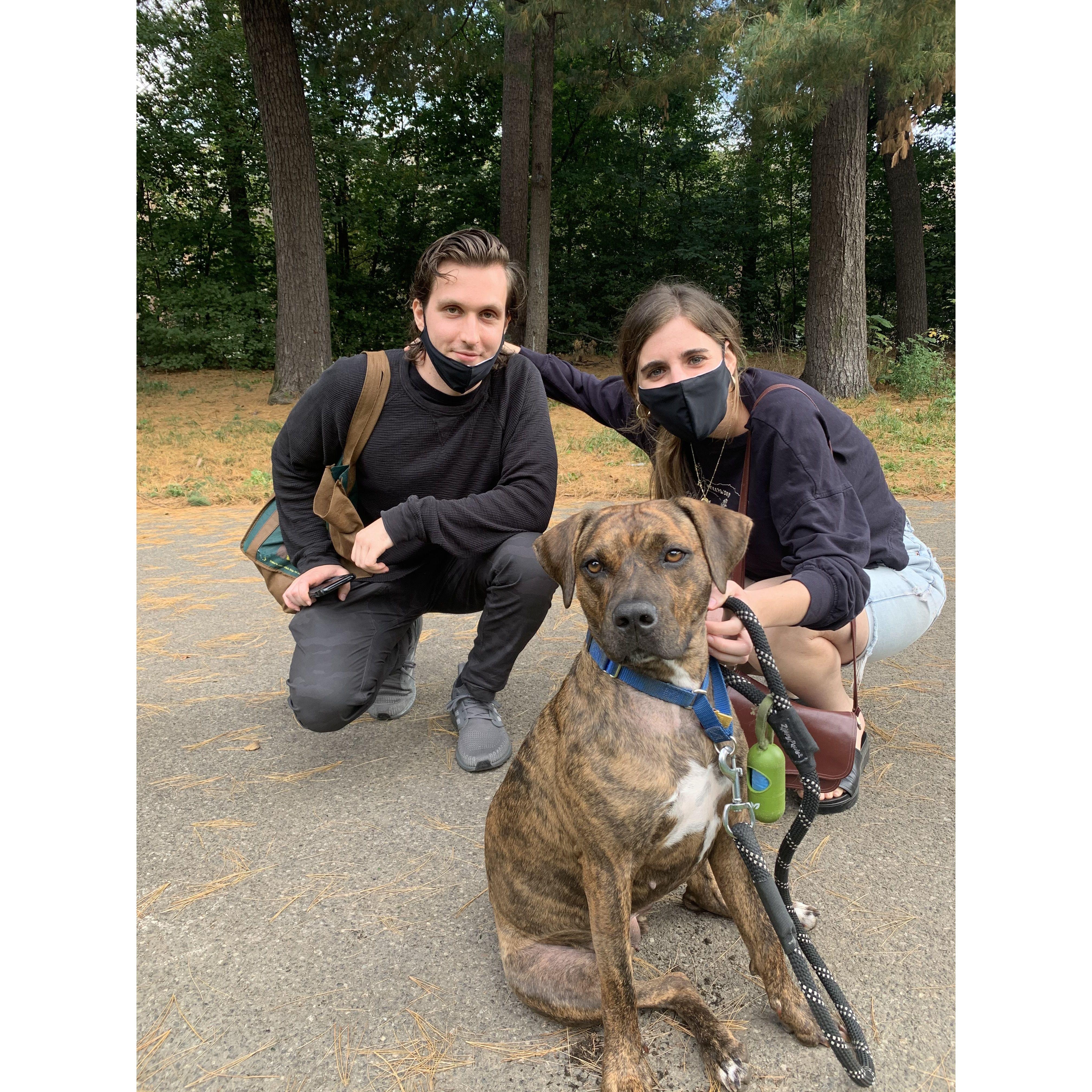 Adopting Maggie! (October 2020)