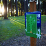 activity - pier park