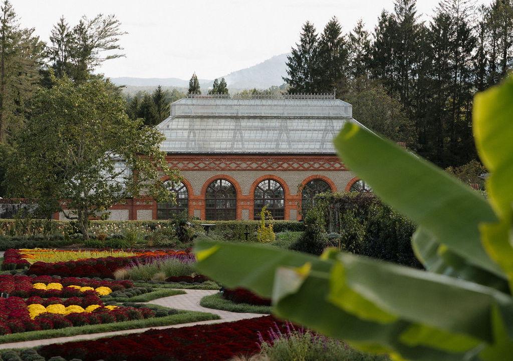 The Wedding Website of Clara Elkins and Brayden Recker