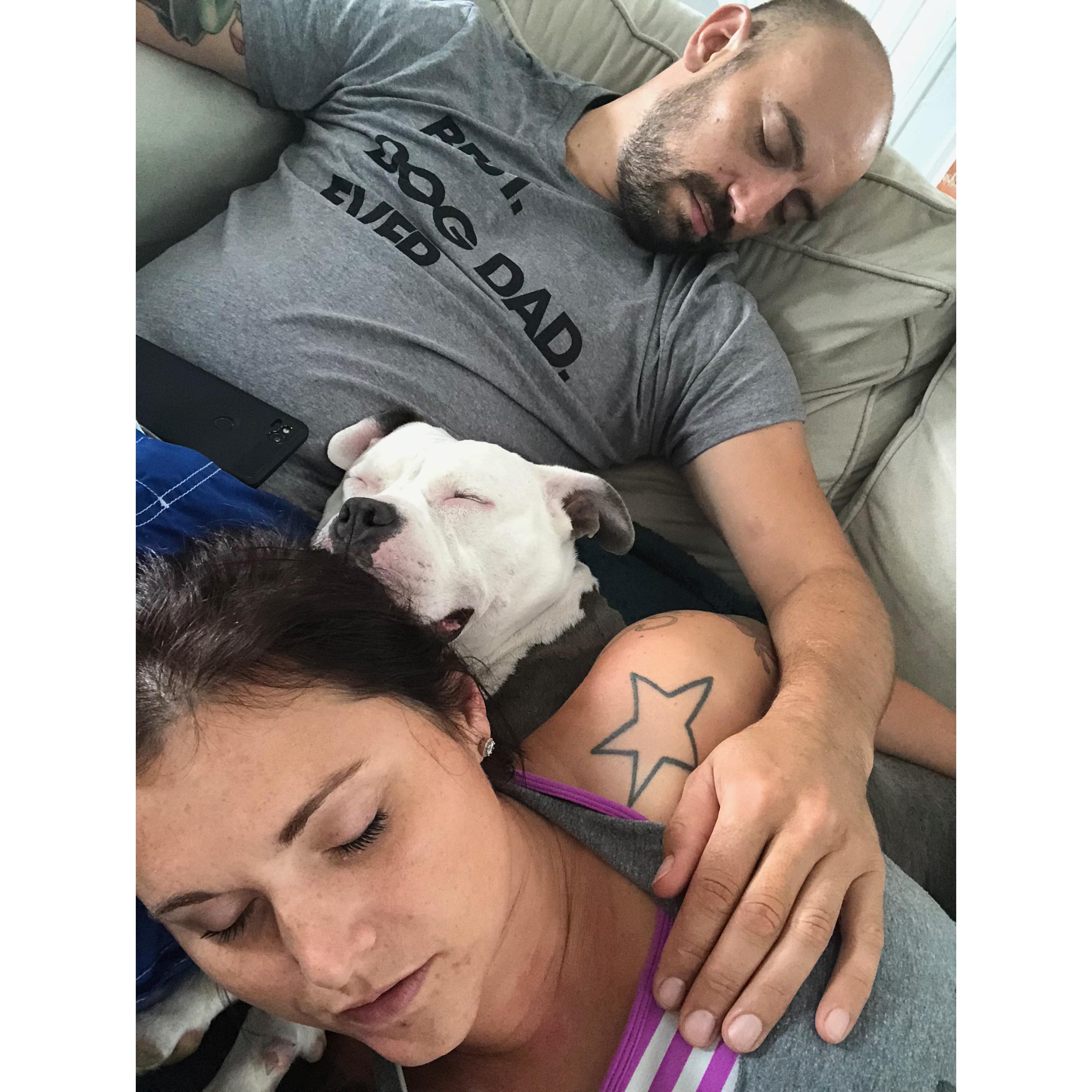 One of many Sunday naps