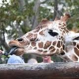 Cheyenne Mountain Zoo