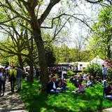 Eugene Saturday Market