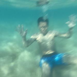 Snorkeling Excursion 🐠🐟