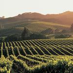 California Wine Country