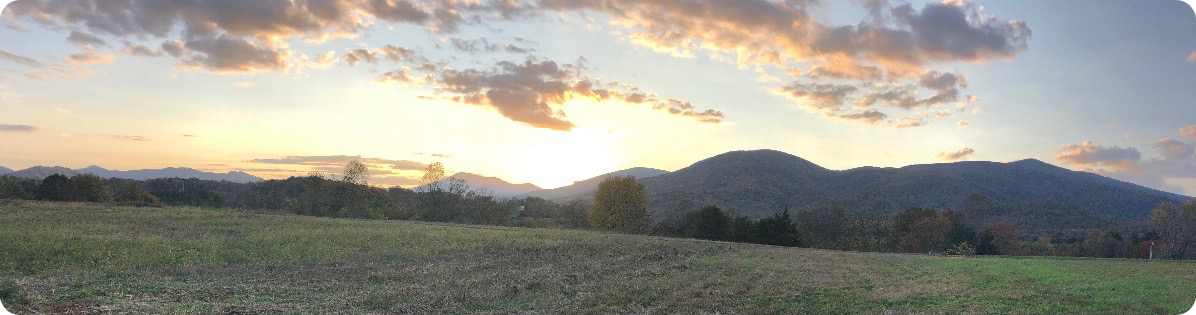The Wedding Website of Lydia Holman and Joe Ford