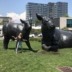 Denver Art Museum