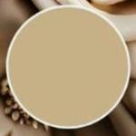 Camel Beige