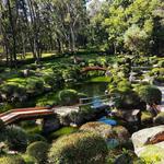Bosque Los Colomos