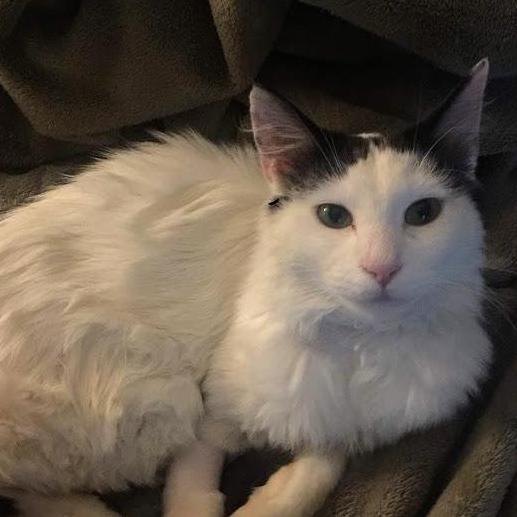 Milo