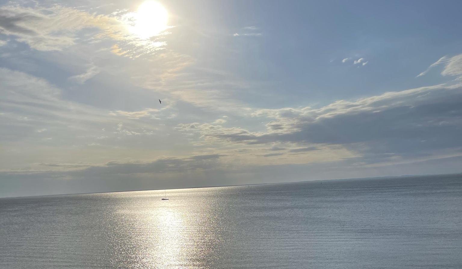 The Wedding Website of Emily Koczot and Brendan Kelly