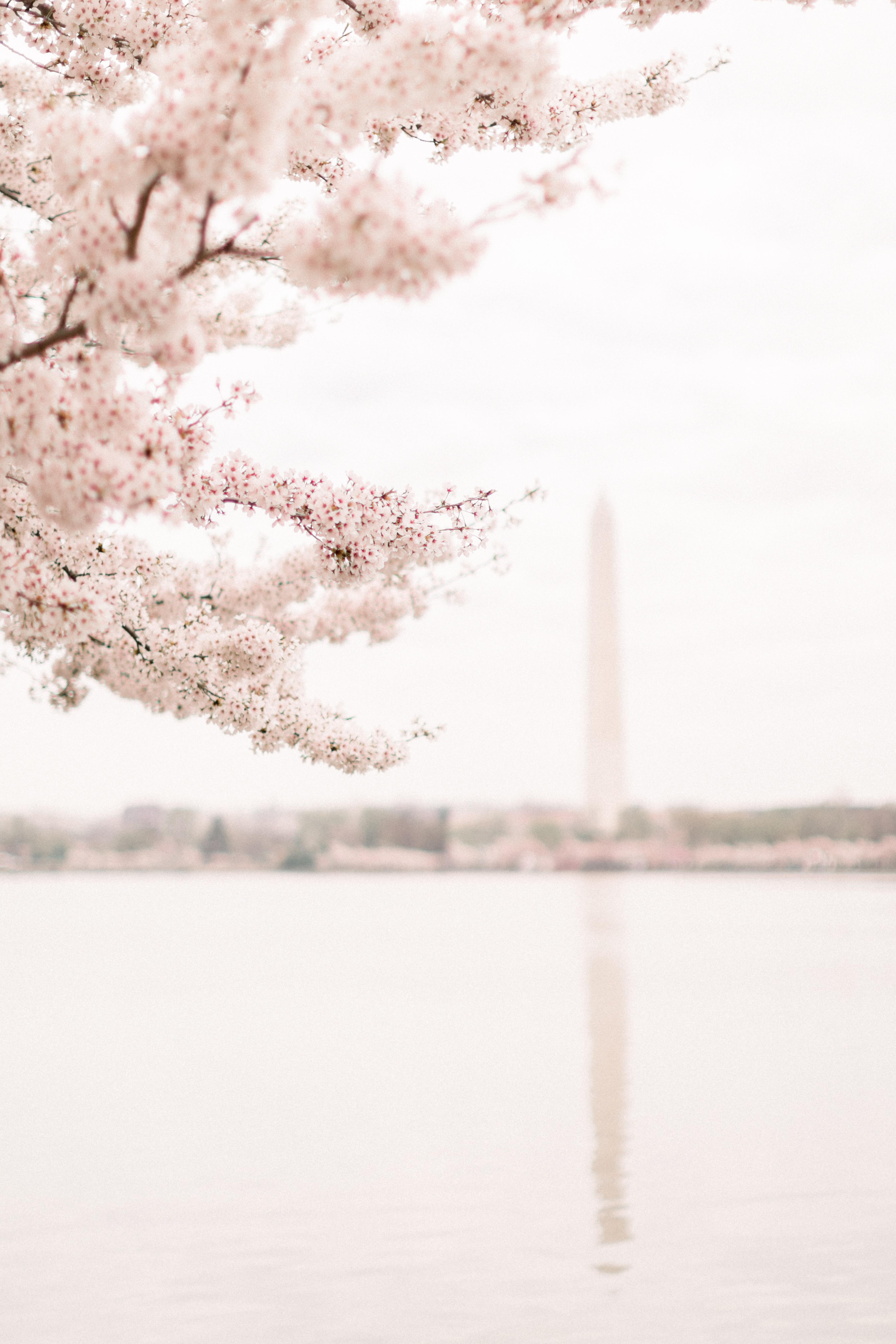 The Wedding Website of Hannah Reedy and Sean Curry