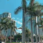 Discover Downtown