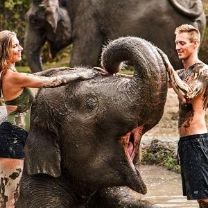 Elephant Mud Bath Excursion