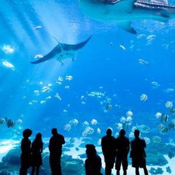 Waikiki Aquarium Admission for Two
