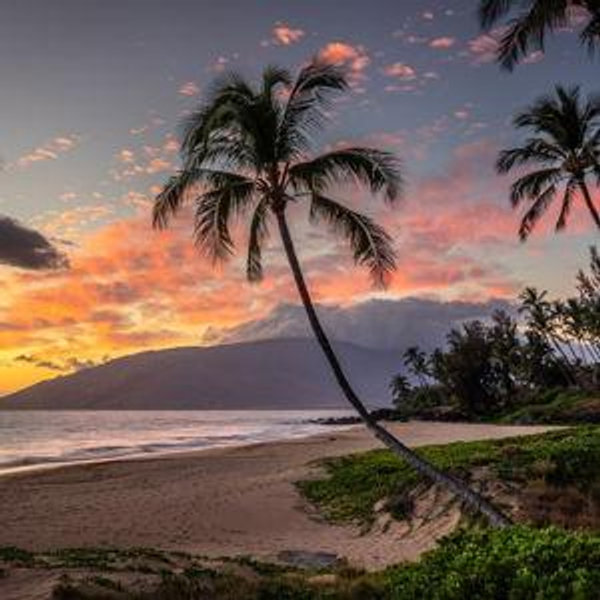 Maui Honeymoon Fund