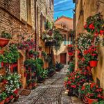 Spello