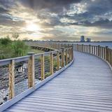 Bucktown Marsh Boardwalk